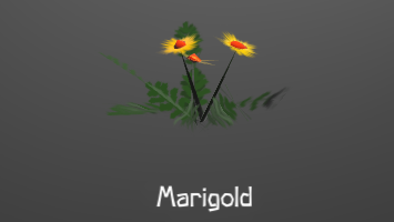 MarigoldPlant.png