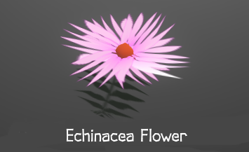 EchinaceaFlower.png