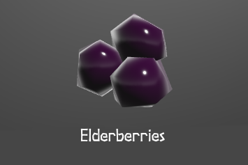 Elderberries.png