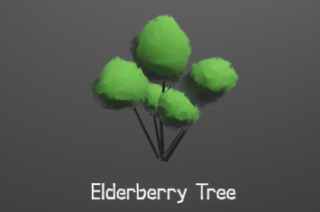 ElderberryTree.png