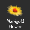 Marigold thumb.png