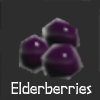 Elderberries thumb.png