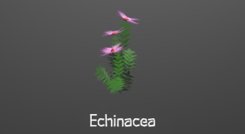 EchinaceaPlant.png