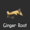 Ginger thumb.png