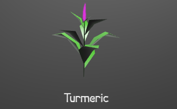 TurmericPlant.png
