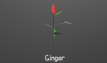 GingerPlant.png