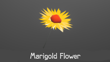Marigold Flower.png