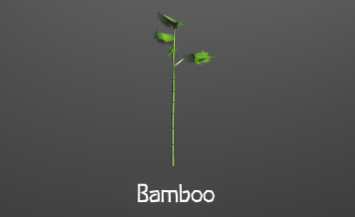 Bamboo grows quickly, and can be used instead of tree branches for building or firewood.