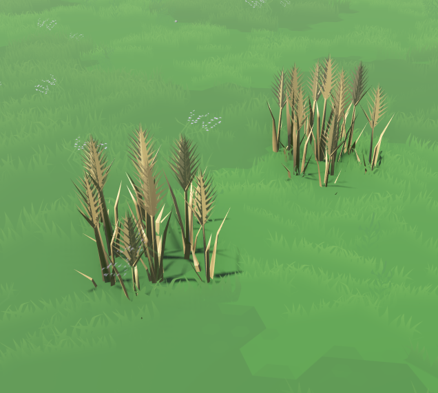 Some Wheat Growing