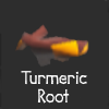 Turmeric Root